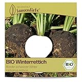 Samenliebe BIO Winterrettich Samen alte Sorte Runder schwarzer Winter scharfer Rettich rundes Wintergemüse schwarz 100 Samen samenfestes Gemüse Saatgut für Gewächshaus Freiland und Balkon