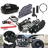 DSYOGX 2-Takt Engine Komplettmotoren Motor, 49CC Einzylinder Complete Engine Motor Kit für 49cc 2-Takt Pocket Bike, Mini Dirt Bike, Atv Oder Roller