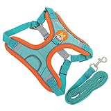 Mikikit 1 Satz Kleiner Hundegurt Groß Für Zurück Haustier Gurte Gepolstert Geschirr Einstellbar Hunde -wanderzubehör Welpe Atmungsaktiv Kleine Hundeleine Tuch Blue