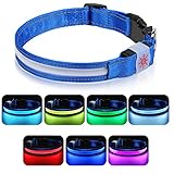 Petbank Leuchthalsband Hund Hundehalsband Leuchtend USB Aufladbar LED Halsband Hund mit 7 Farbwechsel 5 Beleuchtungsmodi Verstellbare Hund leuchthalsband Wasserdicht für Kleine Mittlere Große Hunde M