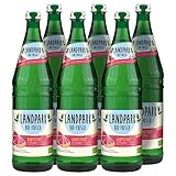 Landpark Bio-Erfrischungsgetränk Grapefruit, 6 x 0,75 L in der Glasflasche | ohne Kohlensäure | Wasser mit Geschmack