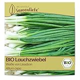 Samenliebe BIO Lauchzwiebel Samen Weiße von Lissabon 200 Samen samenfestes Gemüse Saatgut für Gewächshaus Freiland und Balkon BIO Gemüsesamen