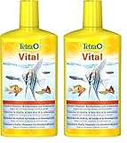 Tetra Vital - fördert Vitalität, Wohlbefinden und Farbpracht bei Fischen, ergänzt lebenswichtige Vitamine und Mineralstoffe, 500 ml Flasche (Packung mit 2)