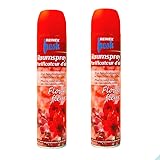 Raumspray 300 ml von Reinex Duftspray Lufterfrischer blumig Flower (2 Flaschen)