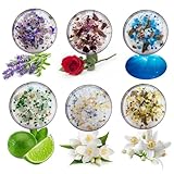 Bolosa Duftkerzen Sets, Duftkerzen Geschenkset, Kleine Geschenkset, Weihnachten Duftkerzen Kerzen Set, Geschenke für Frauen Freundin, 6 Stück Aromatherapie Duftkerze mit Sojawachs