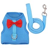 Kaninchengeschirr-Set, Hasengeschirr Und Leinen | Atmungsaktives Kleintiergeschirr -Outfit | Westengeschirr Und Leinen, Ausbruchsicheres, Leichtes Hasengeschirr-Set Kätzchen