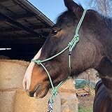 Knotenhalfter für Bodenarbeit Pferd - Knotenhalfter Cob optimal für Freiarbeit, Bodenarbeit, Führ- oder Verladetraining (Shetty (Shetland), Grün-Weiss)