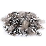 ENLACE 100 Stück Perlhuhnfedern, Federn zum Basteln, 4,5-10 cm Natürliche Gesprenkelte Federn, Bastelfedern für DIY Ohrring Hochzeit Traumfänger Kopfschmucksfedern, Natürliche Farbe