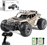 Ferngesteuertes Auto für Draußen,1/16 rc Auto ab 8 Jahren, 20+KM/H Monster Truck, Braunes Buggy Auto,Kinder Auto,Auto Spielzeug, 2 x Akku 40 Minuten Spielzeit, Spielgeschenk für Kinder,Rc Car