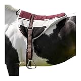 Reitkissen Norton braun/beige