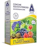 Adama Dünger Sulfat Eisen-Sulfat Mikrogranulat 1 kg gegen Chlorose Bio-Rasen