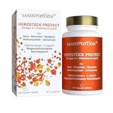 Sanomotion Omega-3 Fischöl + Vitamin D3 & E – Hochdosiert & Magensaftresistent 60 Softgel EPA & DHA 90 % Konzentration – Ohne Aufstoßen – Herz, Gehirn, Sehkraft – HERZSTÜCK PROTECT Omega 3 Kapseln