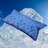 Wasserkissen, Großes Einspritzöffnungsdesign, Stabil und Verschleißfest, Verhindert Auslaufen, Faltbares Design, Feine Textur, Kühles Kissen für Kissen für Rückenkissen (55 * 35CM)