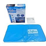 Sommer-Kissen, Massagegerät, Therapie-Einsatzmatte, Muskelentlastung, kühlendes Gelkissen, Kälte-Schlafhilfe, Nackenkissen, PVC-Kissen