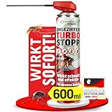 HEIMWERT Insektenspray Akut gegen Ungeziefer – Sofortige Wirkung mit Langzeitschutz gegen Ameisen, Mücken, Fliegen, Silberfische, Spinnen uvam - Spray Mittel für Wohnung + Garten 600 ml (Parfümfrei)
