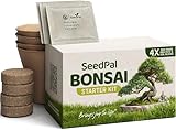 SeedPal Bonsai Set - Bonsai Starter Kit - Bonsai Anzuchtset 4 versch. Bonsai Baum Samen - Geschenkset/Pflanzset inkl. Anleitung & Zubehör