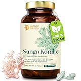 Nature Basics Sango Meereskoralle Kapseln - 180 Kapseln - Sango Koralle Kapseln mit 660mg Kalzium & 330mg Magnesium pro Tagesdosis - Optimales 2:1 Verhältnis - Magnesium Calcium hochdosiert