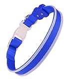 Leuchthalsband für Hunde,Leuchthalsband für kleine und große Hunde,Aufladbares LED-Hundehalsband mit Hellen doppelseitigen LED-Leuchten, IPX7 wasserdicht, für nächtliche Spaziergänge (Blau)