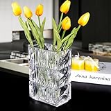 20cm Kristallglas Vase, Verdickte klare Glas Blumenvase, große große quadratische Vase Dekorative Vasen Blumen Moderne Bauernhaus Mittelstück, Home Room Dekor (Transparent)