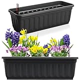 Hausfelder Blumenkasten 2er Set mit Wasserspeicher und Wasserstandsanzeige, Pflanzkasten und Balkonkasten mit Bewässerungssystem für Innen und Außen (Anthrazit-Schwarz, 60cm lang - 2er Set)
