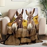 Kuscheldecke Braunes Flauschig Flanelldecke, Bauernhof Tiere Esel Drucken Weich Wärme Sofadecke für Kinder Erwachse - 220 x 240 cm Decke für Wohnzimmer Bürostuhl Camping