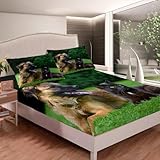 3D Schäferhund Spannbettlaken 140x200 cm, Mikrofaser Bettlaken für Kinder Erwachsene, Boxspringbett Spannbetttuch bis 30 cm Matratzenhöhe, Katze Bettlaken 140 x 200 Mit 1 x Kissenbezügen G893