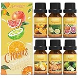 SALUBRITO Zitrus Ätherische Öle Set, Naturrein Zitrusdüfte Duftöle für Diffuser - Süße Orange, Bergamotte, Grapefruit, Zitrone, Mandarine, Limette Aromatherapie Öl