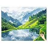 Malen Nach Zahlen Erwachsene Landschaft Malen Nach Zahlen Feld ab 6 Paint by Numbers DIY Set Erwachsene Anfänger Handgemalt Ölgemälde Leinwand Kit für Geschenke für Frauen Herbstdeko 70x50cm V-72
