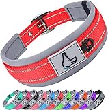 Joytale Hundehalsband, Weich Gepolstert Neopren Halsbänder für Kleine Hunde, Nylon Reflektierend Breit Halsband Hund, Rot