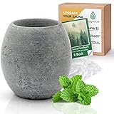 CozyNature® Sauna-Ei aus natürlichem Speckstein | ca. 7 x 6,5 cm| Sauna Zubehör | hitzebeständige Aromaschale für entspannende Saunaaufgüsse | 100% Handarbeit | geeignet für Mentholkristalle & Saunaöl