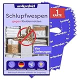 Wolkenfeld Schlupfwespen gegen Kleidermotten – 1 Karte à 4 Lieferungen – Effektive Bekämpfung von Kleider-Motten – Natürliche Alternative zu Mottenfallen, Mottenspray & Pheromonfallen