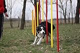 Wuzzmann Agility-ÜBUNGS-Slalom-Set ROT/GELB, 12 RUNDE STANGEN