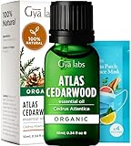 Gya Labs Bio Zedernholz ätherisches Öl für Diffusor - Natürliches Zedernholzöl für Haut & Haar, Zedernholz ätherisches Öl, Atlas Zedernholz ätherische Öle Bio, Self Care Geschenk (10ml)