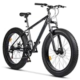 4.0' Fette Reifen Mountainbike, 26 Zoll Fatbike Shimano 21 Gang-Schaltung mit Doppelscheibenbremse, Fahrrad für Mädchen Jungen Herren und Damen, MTB Hardtail Fahrrad, Grau/Schwarz