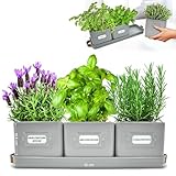 Green Thumbz 3 STK. Kräutertopf - Kräutertöpfe für Deinen Kräutergarten und Fensterbank Innen Dekoration - Basilikum Topf mit Ledergriffen & Untersetzer - Küchenkräuter Topf (Holzkohlegrau)