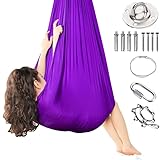 Generisch Indoor-Hängematte, ultraleichte tragbare Schaukel, geeignet für Schlafzimmer, Balkone, Innenhöfe oder Camping, komplett mit allem Zubehör(Lila)