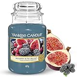 Yankee Candle Duftkerze im Glas (groß) – Mulberry & Fig Delight – Kerze mit langer Brenndauer bis zu 150 Stunden