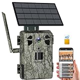 ZAIYW 4G LTE Solar Wildkamera mit SIM Karte Handyübertragung App, 2,7K HD Live Video Wildkamera 120° 20M Bewegungsmelder 940nm No Glow Nachtsicht Trail Kamera IP66 Wasserdicht für Tierüberwachung