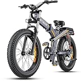 ENGWE X24/X26 E Bike Klapprad Elektrofahrrad mit 24''/26' x 4.0 Fat-Reifen Dualer herausnehmbarer Akku 48V 19.2AH/+10AH Reichweite 100/150km, 3 Federungen (X24 Einzelne Akku 19.2AH, Grau)