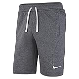 Nike Herren Park 20 Fussball Shorts, Grau, L EU