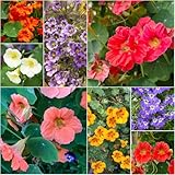 kapuzinerkresse winterhart - kräutersamen kletterpflanzen winterhart gartensamen topfpflanzen wildblumenwiese mehrjährig kapuzinerkresse 300samen