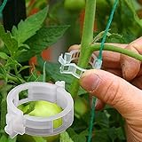 Winmany 100 Stück Pflanzenstützen für den Garten, Tomatenklammern,von Pflanzen/Schnüren/Reben Gitter/Käfige Pflanzenrebe Gemüsebefestigungsclip Veredelungswerkzeuge