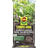 COMPO SANA Grünpflanzen- und Palmenerde mit 12 Wochen Dünger für alle Zimmer- und Balkonpflanzen sowie Palmen und Farne, Kultursubstrat, 20 Liter