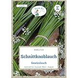 Grüne Fee - Schnittknoblauch Gewürzlauch Samen - 12235