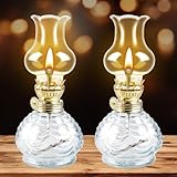 Petroleumlampe Outdoor Öllampe: 2 Stück Öllampen aus Glas, Petroliumöllampe Transparente Einstellbare Helligkeit, Öl Lampen Sturmlaterne Petroleum Lampe für Wohnzimme Esszimmer Garten Notfalleinsatz