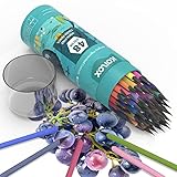 Koilox 48 farbenprächtige Bleistifte ölbasiertes radierbares Farbstift-Set, gespitzte Profi-Buntstifte für Erwachsene, Anfänger und Künstler, Kunstbedarf zum Malen, Skizzieren, Ausmalbücher