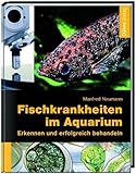 Fischkrankheiten im Aquarium: Erkennen und erfolgreich behandeln