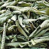 HELLOYOUNG Original Chinesischer Guavenblättertee (Lose) Spezialtee Gemischter Früchtetee Zuckerregulierender Sanft Duftender Tee (500g)