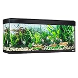 Fluval Aquarium Roma Bluetooth LED-Beleuchtung, 240 l, Schwarz