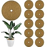 ZDQC 10 Stück Kokos Mulchscheibe,Ø 25CM Kokosscheibe,Kübelabdeckung Kokos,Kokos Pflanzenschutz,Winterschutz Kokosmatte,Winterschutz für Kübelpflanzen,Kokosnussfasern,Winterschutz Kokos (25cm)